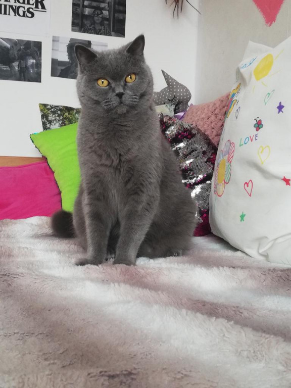 Konkurs. Superwierzaki w obiektywie