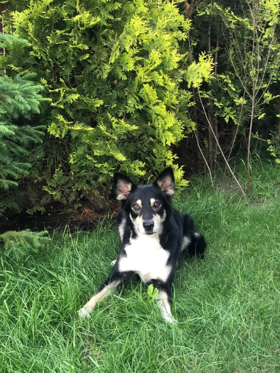 Konkurs. Superwierzaki w obiektywie