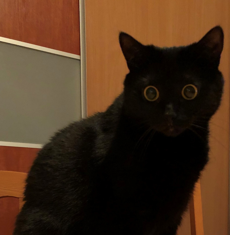 Konkurs. Superwierzaki w obiektywie