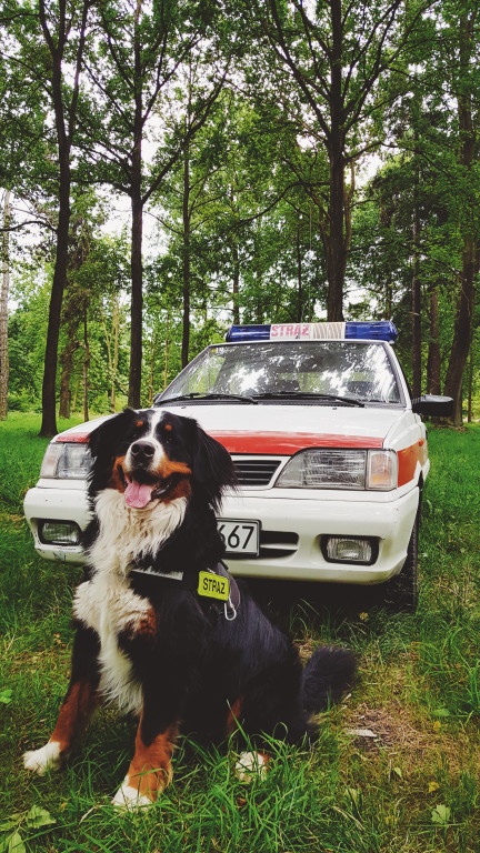 Konkurs. Superwierzaki w obiektywie