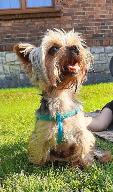 Konkurs. Superwierzaki w obiektywie