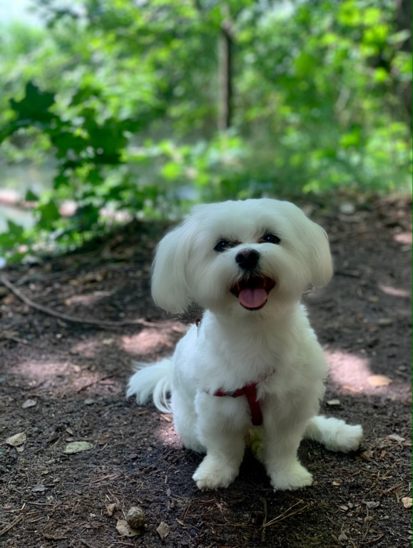 Konkurs. Superwierzaki w obiektywie