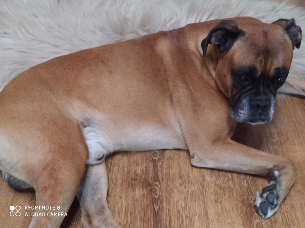 Konkurs. Superwierzaki w obiektywie