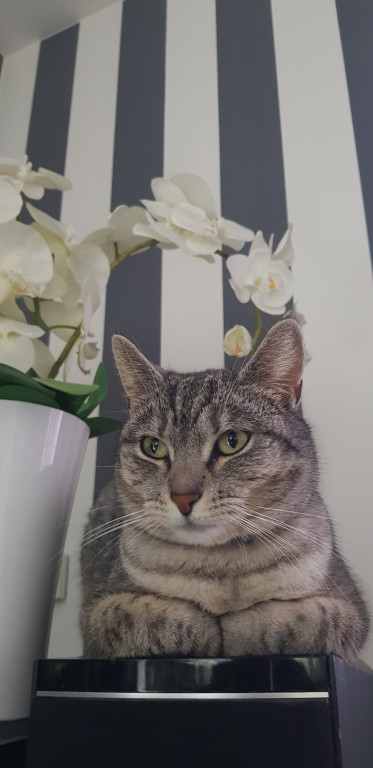 Konkurs. Superwierzaki w obiektywie