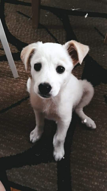 Konkurs. Superwierzaki w obiektywie