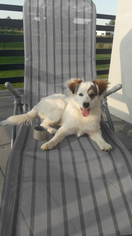 Konkurs. Superwierzaki w obiektywie