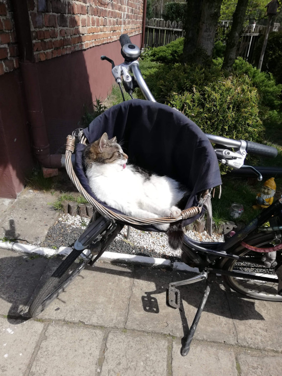 Konkurs. Superwierzaki w obiektywie