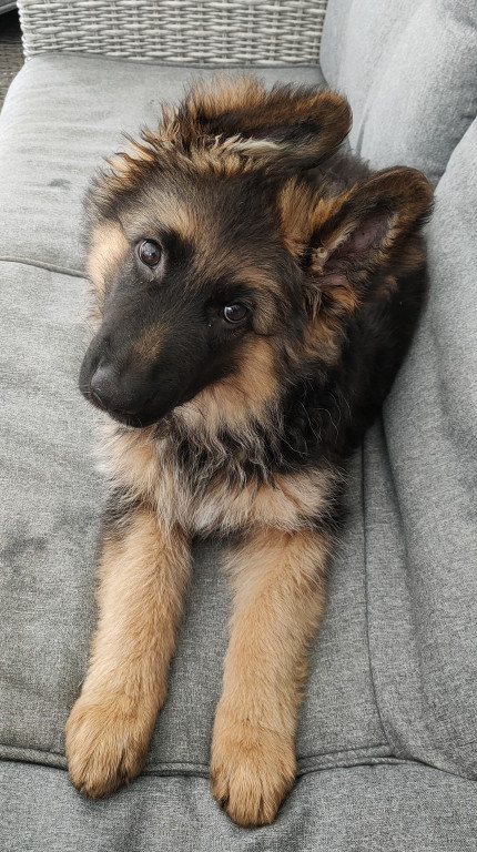 Konkurs. Superwierzaki w obiektywie