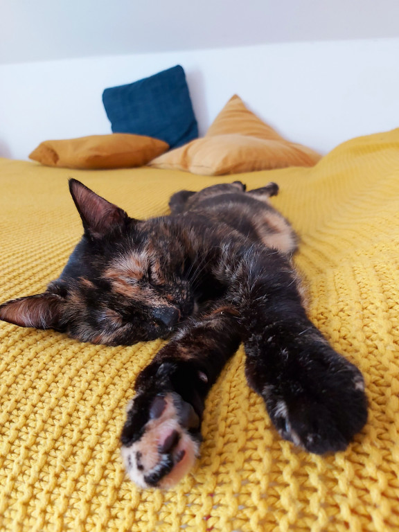 Konkurs. Superwierzaki w obiektywie