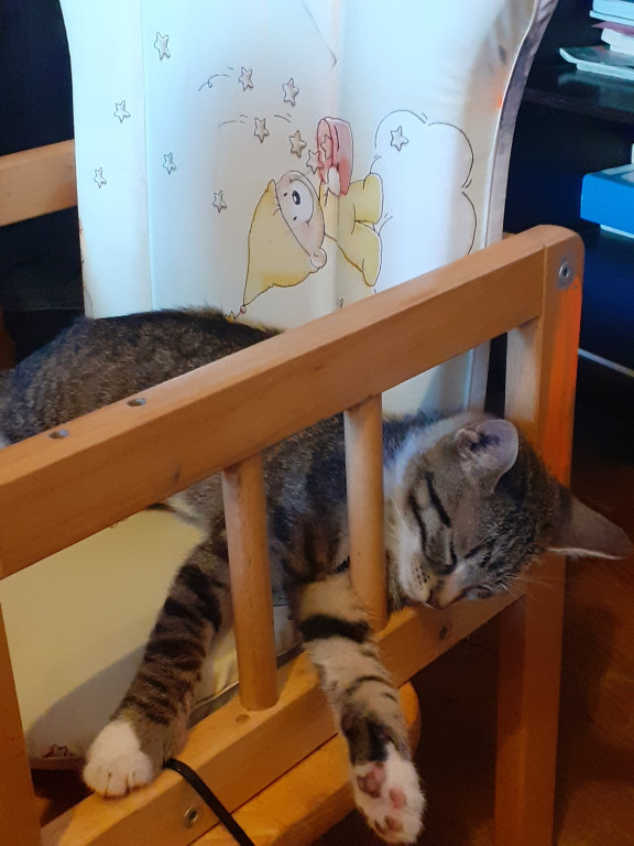 Konkurs. Superwierzaki w obiektywie