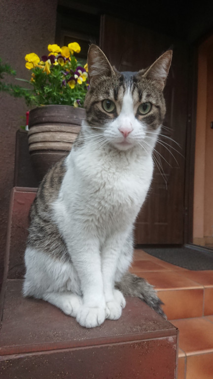 Konkurs. Superwierzaki w obiektywie