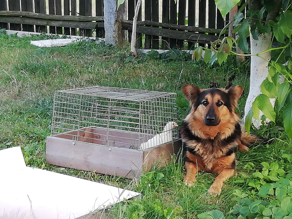 Konkurs. Superwierzaki w obiektywie