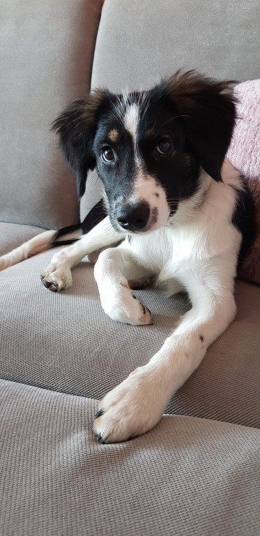 Konkurs. Superwierzaki w obiektywie