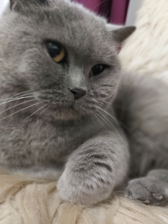 Konkurs. Superwierzaki w obiektywie