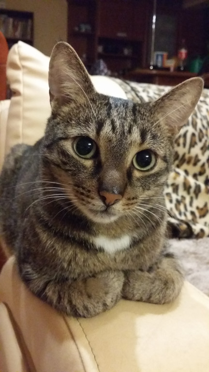 Konkurs. Superwierzaki w obiektywie