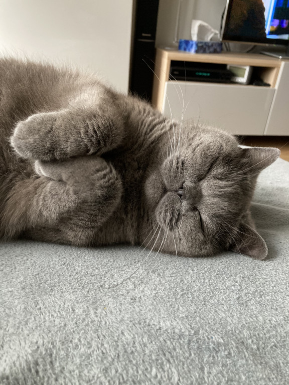 Konkurs. Superwierzaki w obiektywie