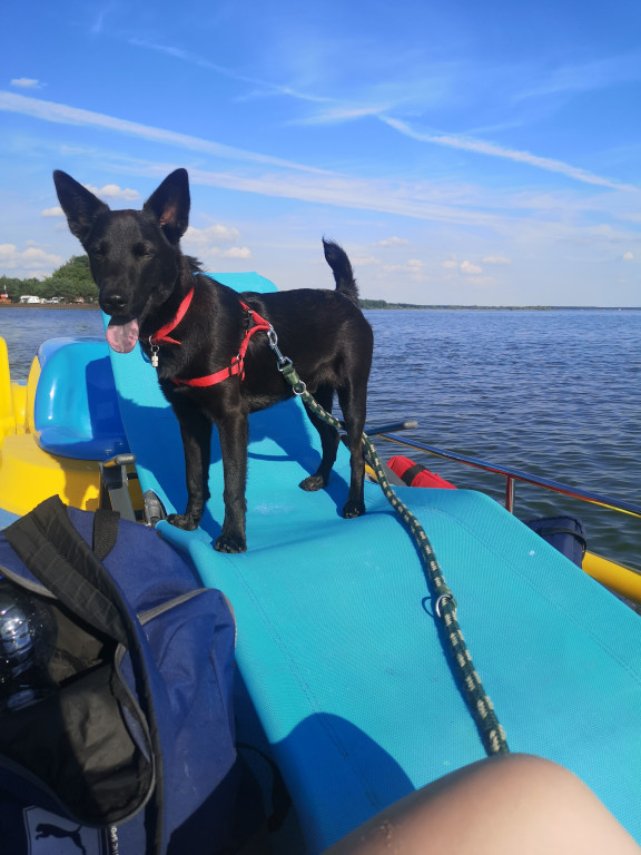 Konkurs. Superwierzaki w obiektywie