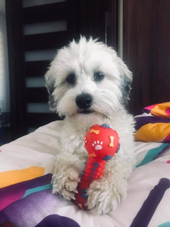 Konkurs. Superwierzaki w obiektywie