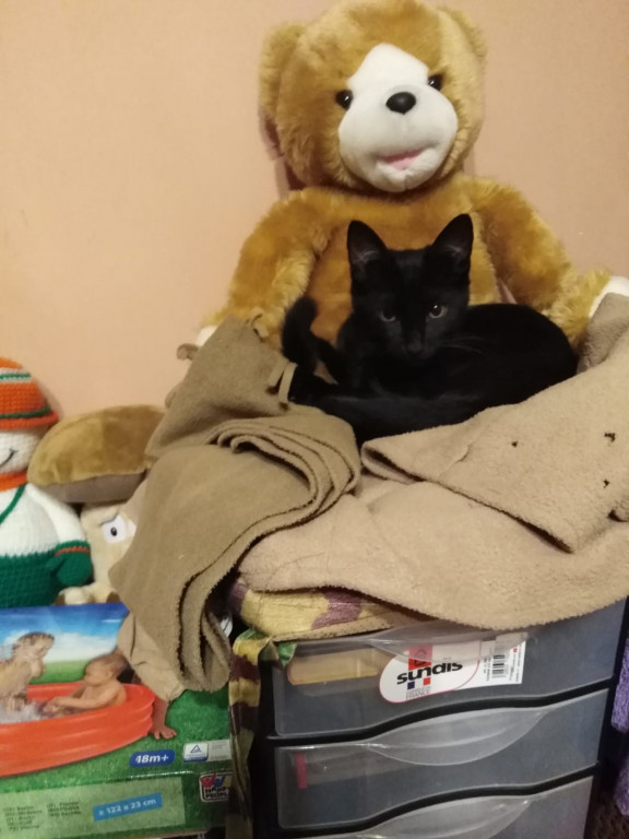 Konkurs. Superwierzaki w obiektywie