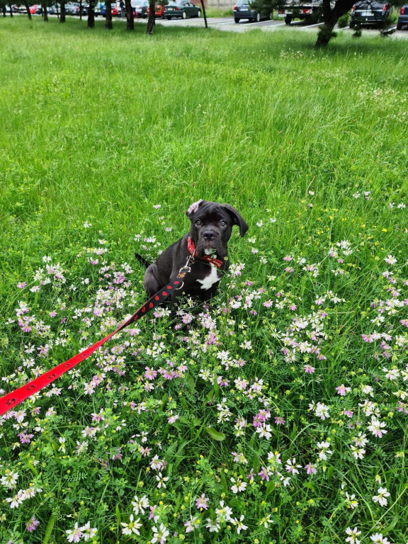 Konkurs. Superwierzaki w obiektywie