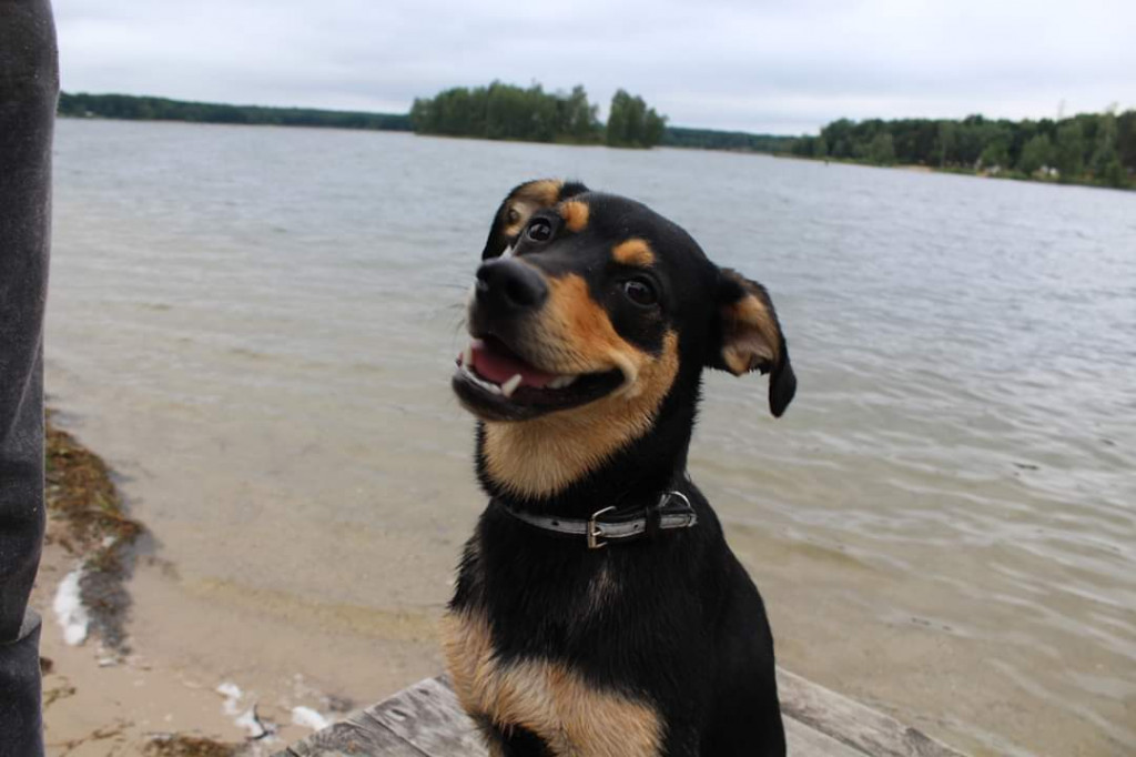 Konkurs. Superwierzaki w obiektywie