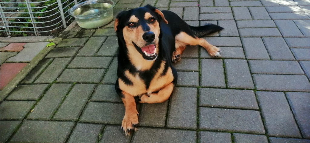 Konkurs. Superwierzaki w obiektywie