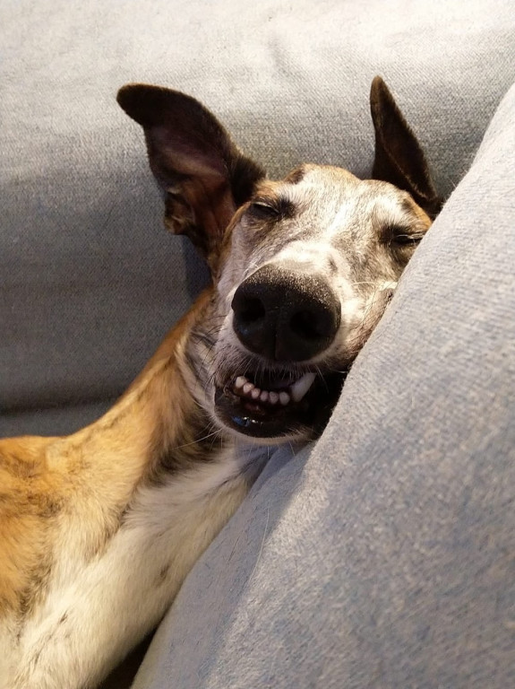 Konkurs. Superwierzaki w obiektywie