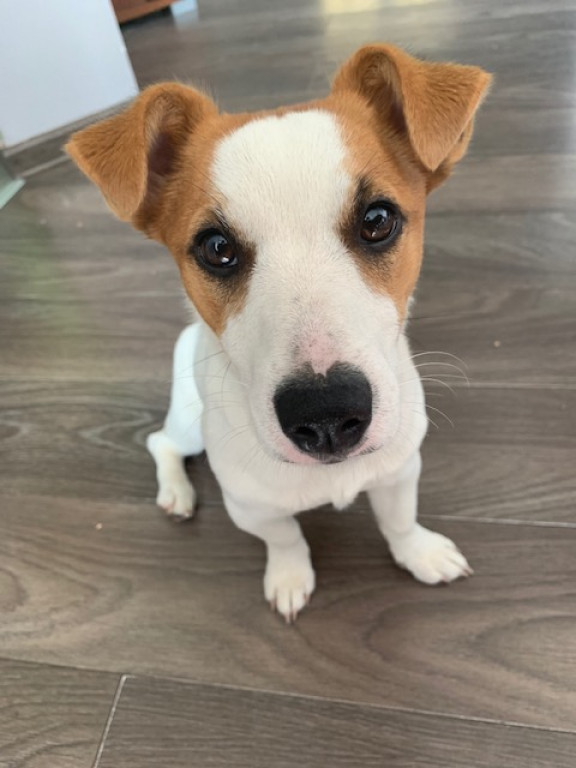 Konkurs. Superwierzaki w obiektywie