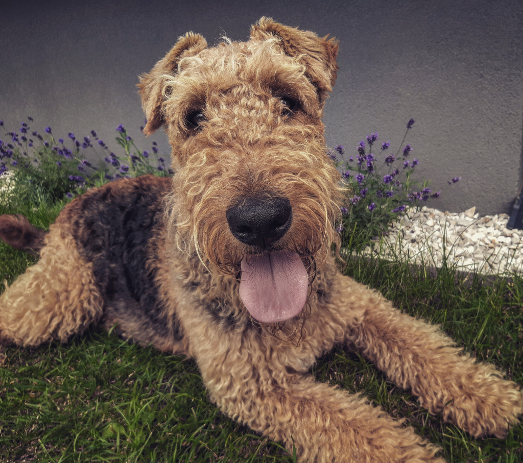 Konkurs. Superwierzaki w obiektywie