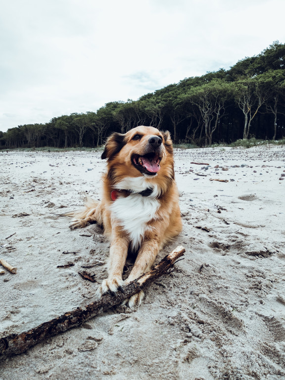 Konkurs. Superwierzaki w obiektywie