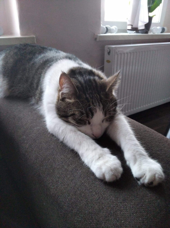 Konkurs. Superwierzaki w obiektywie