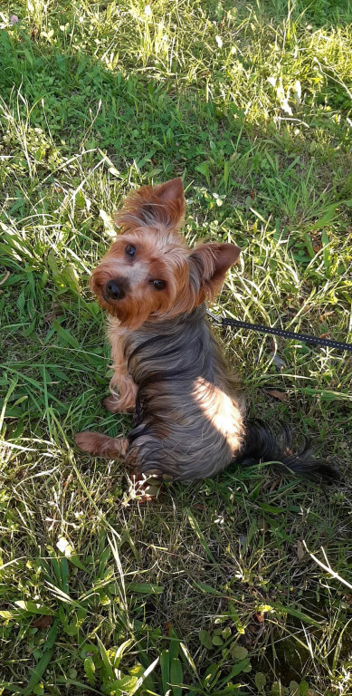 Konkurs. Superwierzaki w obiektywie