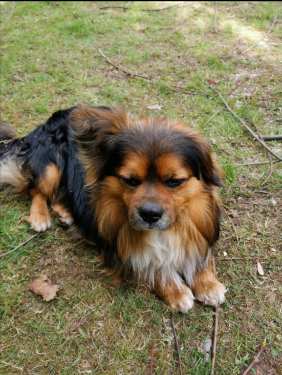 Konkurs. Superwierzaki w obiektywie