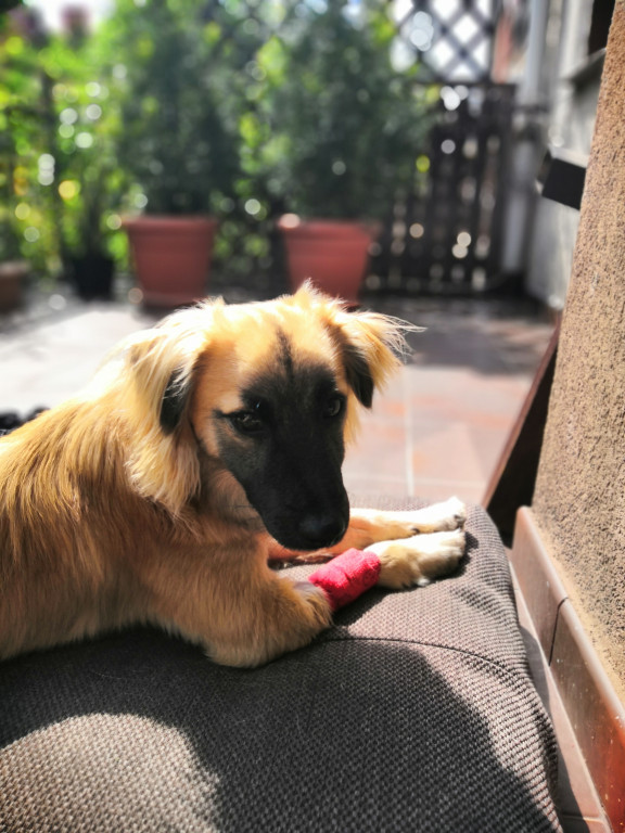 Konkurs. Superwierzaki w obiektywie