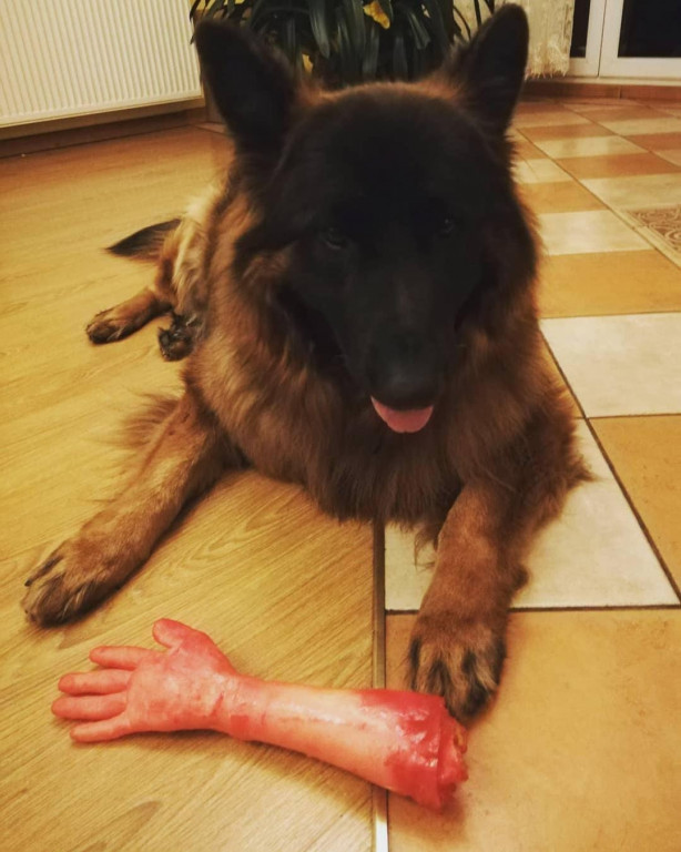 Konkurs. Superwierzaki w obiektywie