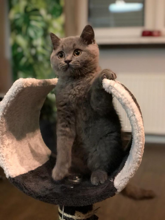 Konkurs. Superwierzaki w obiektywie