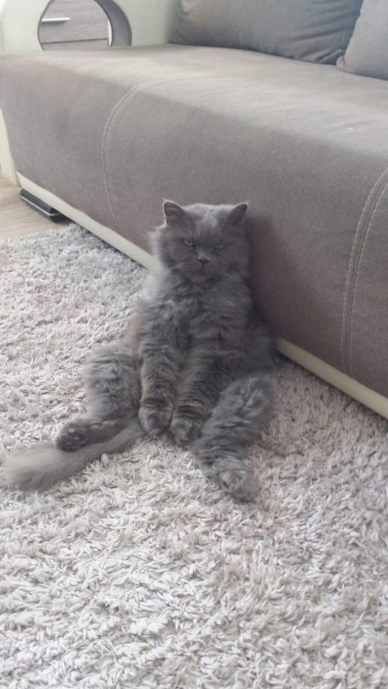 Konkurs. Superwierzaki w obiektywie