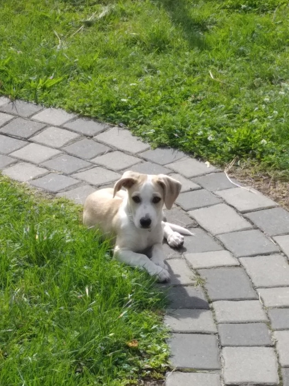 Konkurs. Superwierzaki w obiektywie