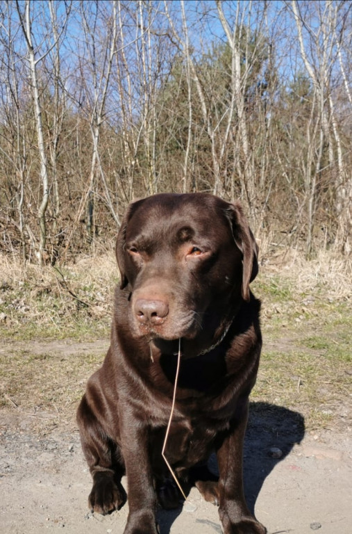 Konkurs. Superwierzaki w obiektywie