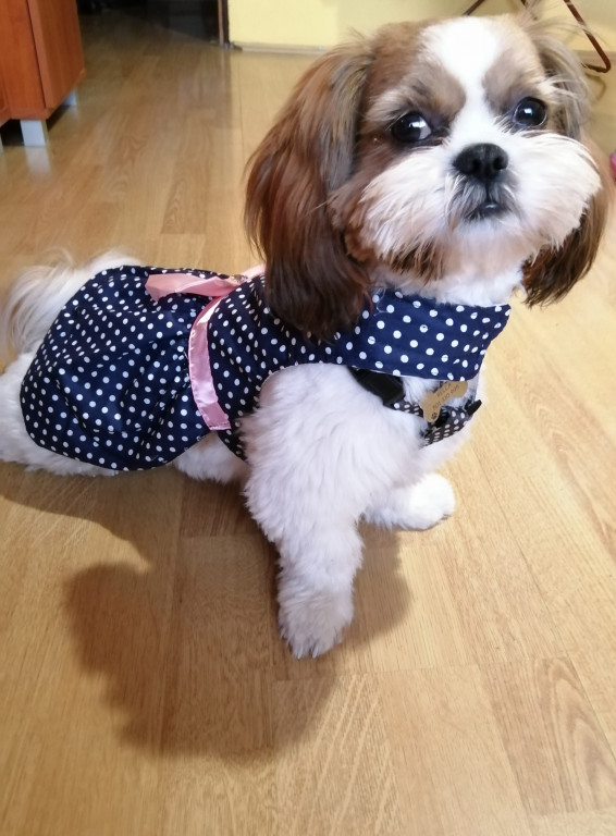 Konkurs. Superwierzaki w obiektywie