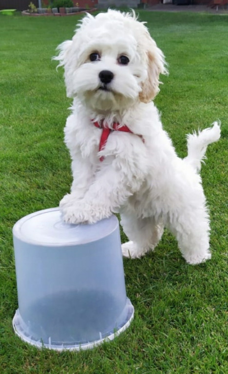 Konkurs. Superwierzaki w obiektywie