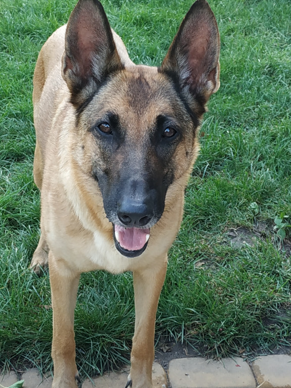 Konkurs. Superwierzaki w obiektywie