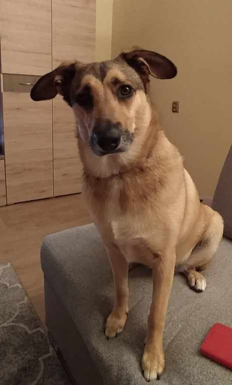 Konkurs. Superwierzaki w obiektywie