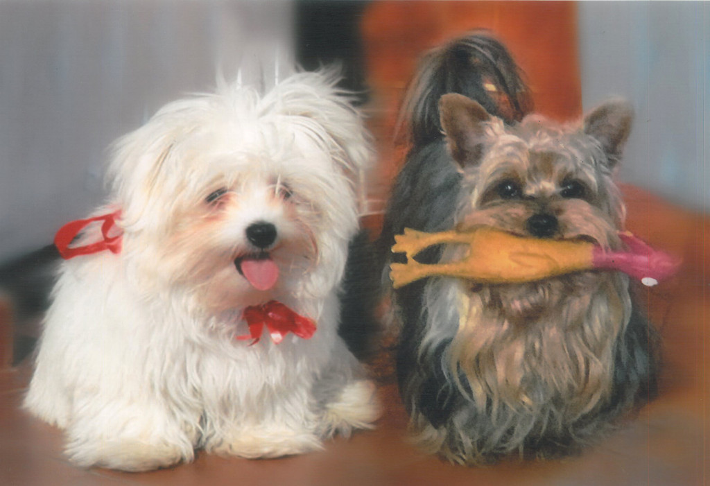 Konkurs. Superwierzaki w obiektywie