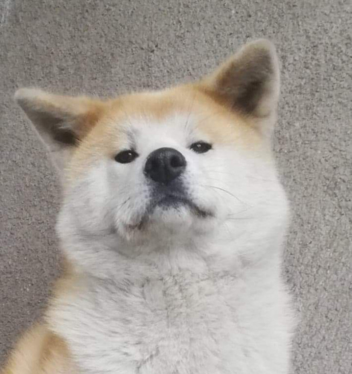 Konkurs. Superwierzaki w obiektywie