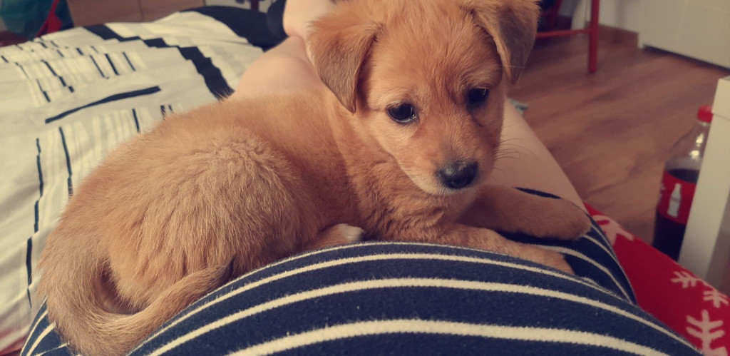 Konkurs. Superwierzaki w obiektywie