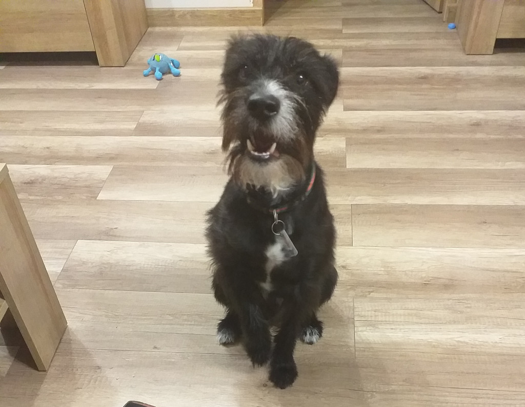 Konkurs. Superwierzaki w obiektywie