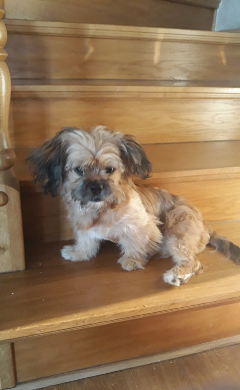 Konkurs. Superwierzaki w obiektywie