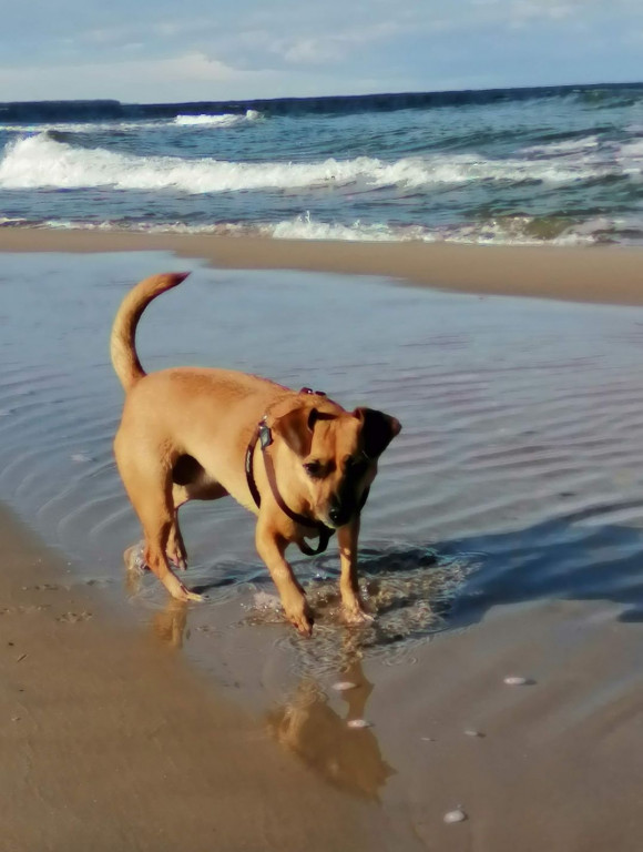 Konkurs. Superwierzaki w obiektywie