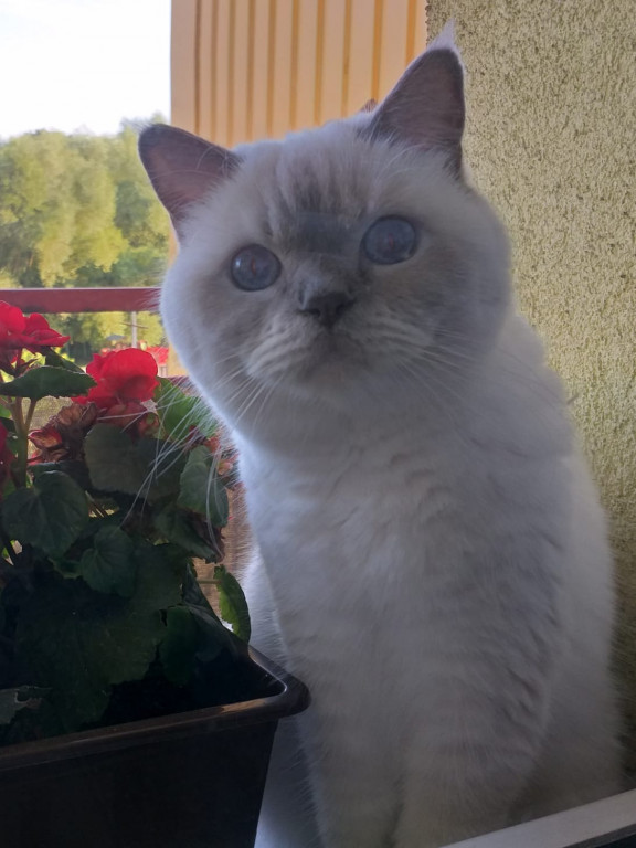 Superzwierzaki. Poznaliśmy finałową dziesiątkę